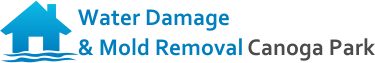 Water Damage & Mold Removal Canoga Park